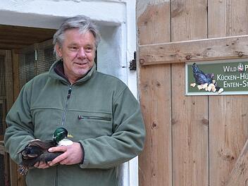 Martin Sensbach ist der Hüter der Kükenstube, in der die Besucher miterleben können, wie aus Eiern Hühner werden. Fotos: Rainer Lutz