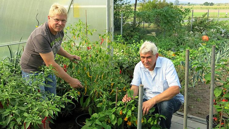 Edmund Reck (l.) und Alfons Bischof Foto: Dagmar Niemann