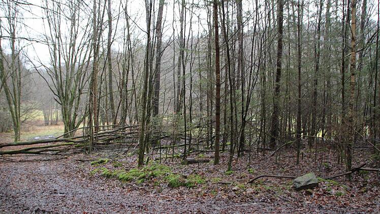 Einzelne Steine liegen noch herum, doch der unbedarfte Beobachter kann nicht unterscheiden, ob es Natursteine oder Reste des Fundaments sind. Foto: Ulrike Müller