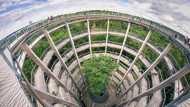 Der Baumwipfelpfad Steigerwald ist ein absolutes Ausflugs-Highlight in Franken.