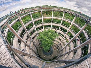 Der Baumwipfelpfad Steigerwald ist ein absolutes Ausflugs-Highlight in Franken.
