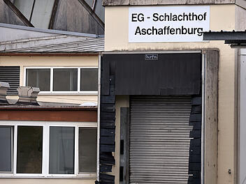 Prozess gegen zwei ehemalige amtliche Tierärztinnen Prozess gegen zwei ehemalige amtliche Tierärztinnen