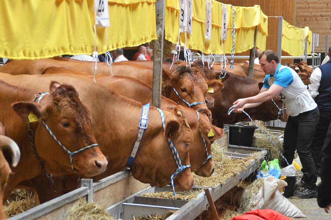 Lebendige Feuerwehrgeschichte