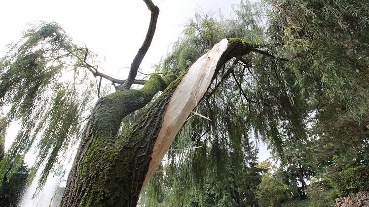 Das Sturmtief Fabienne wütete auch in Forchheim.  J. Hofbauer