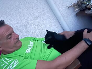 Erlangen: Mann fährt jede Woche 600 Kilometer, um seinen Kater zu suchen - "vermissen ihn unendlich"