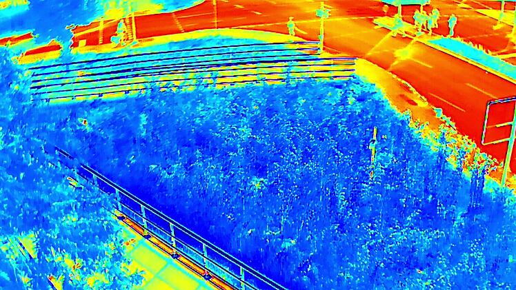 Die Drohnenaufnahme der Wärmebildkamera zeigt, dass der Tiny Forest bis zu zehn Grad kälter ist als die angrenzende Kreuzung. Ein anschaulicher Beleg, wie effektiv Bäume kühlen.