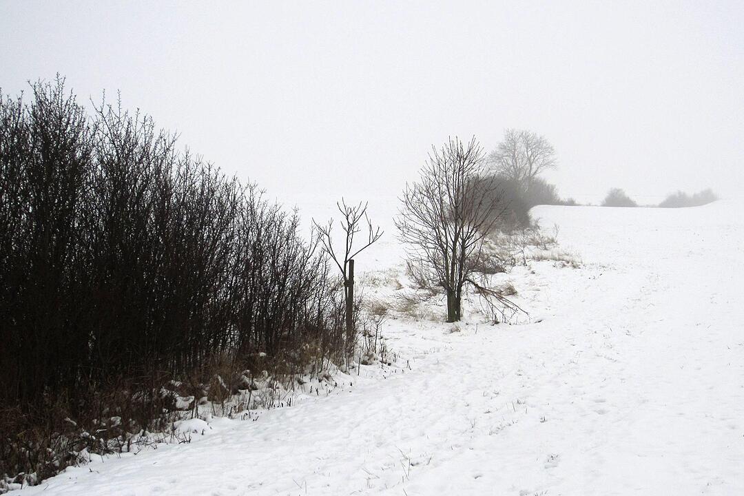 Fotos Konrad Thomann