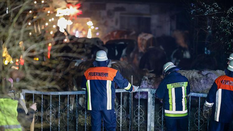 Feuer in Höfen: Stall mit 50 Rindern in Vollbrand löst Großeinsatz aus