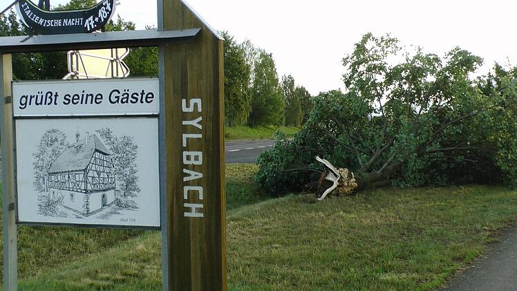 Auch im Stadtteil Sylbach riss es Bäume um. Foto: Christian Licha