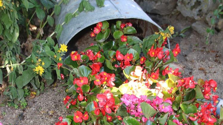 Blick in den Garten von Rainer und Rosi Gilke. Foto: Jürgen Gärtner
