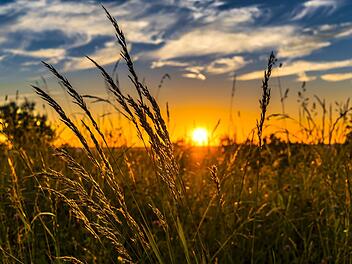 Wetter in Franken: Wie lange bleibt es warm?