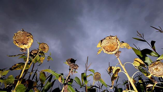 Das Wetter bleibt in Franken auch zum Wochenende unbest&auml;ndig. Sonne und Regen wechseln sich ab. Foto: Friso Gentsch/dpa