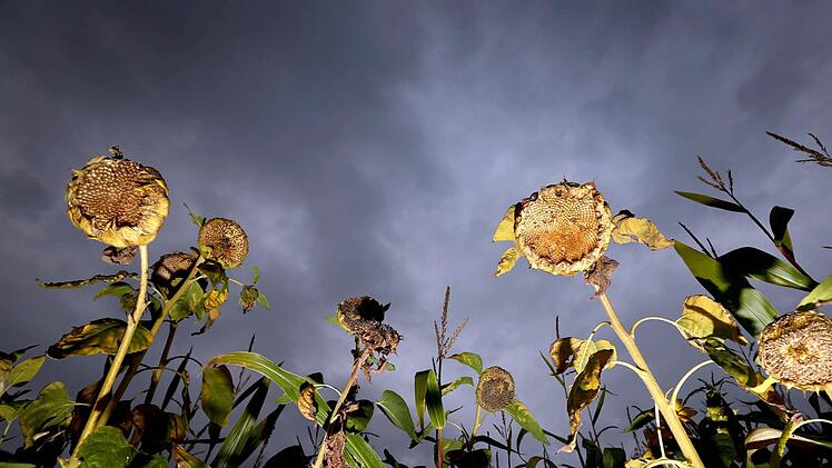 Das Wetter bleibt in Franken auch zum Wochenende unbeständig. Sonne und Regen wechseln sich ab. Foto: Friso Gentsch/dpa
