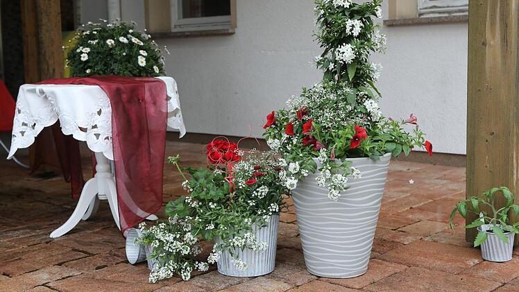 Der elegante Topf beschränkt sich auf Blüten in rot und weiß. Foto: Barbara Herbst