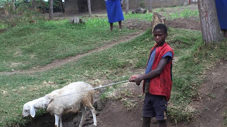 Eine Ziege zu besitzen ist schon Reichtum!Regina Rinke