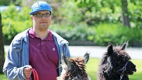 Mit Alpakas konnten die Besucher einen Spaziergang &uuml;ber den Fassoldshof unternehmen. Foto: privat