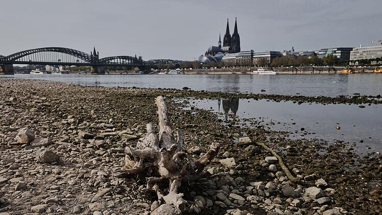 Niedrigwasser am Rhein in K&ouml;ln