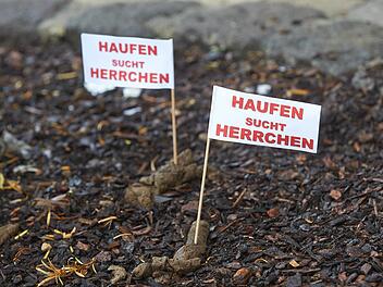 Nach der Schneeschmelze kommen auf Gehwegen nicht selten Hundehaufen zum Vorschein - auch in Tettau. Symbolfoto: Thomas Frey/dpa