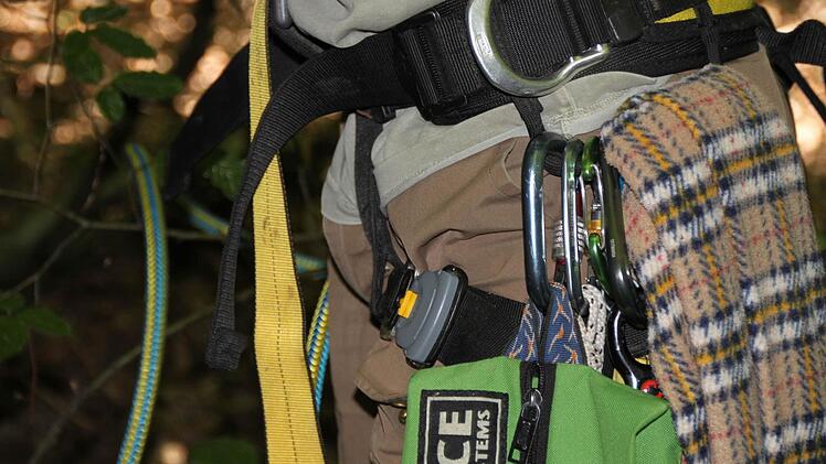 Nichts darf fehlen auf seiner Tour den Stamm hinauf.