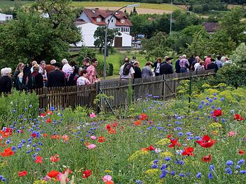 Ramsthal blüht: Der Blumenschmuck und die gepflegten Gärten machen den Weinort einladend.  Foto: Werner Vogel