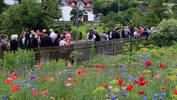 Ramsthal blüht: Der Blumenschmuck und die gepflegten Gärten machen den Weinort einladend.  Foto: Werner Vogel