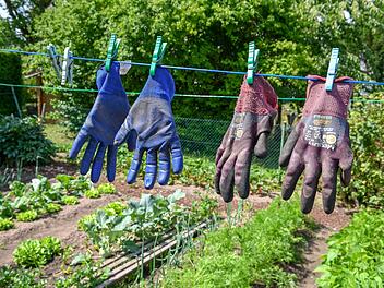 Gärtnern ist mit Arbeit verbunden.Foto: Ronald Rinklef