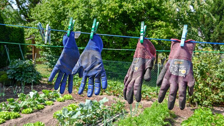 Gärtnern ist mit Arbeit verbunden.Foto: Ronald Rinklef