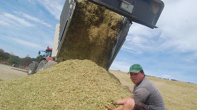 Daniel Lambrecht, Betriebsleiter der Biogasanlage im Lager Hammelburg, ist mit dem Ergebnis der Maisernte 2022 nicht zufrieden .