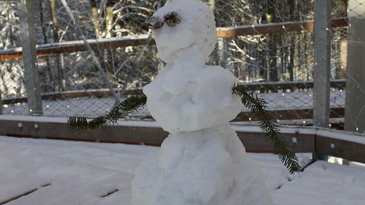 Der wohl höchste Schneemann in der RegionFoto: Anette Schreiber