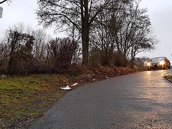 In der Fortsetzung der Straße  Rosenberg könnte in Lußberg Bauland entstehen, das wünschen sich etliche Anwohner an dem momentan durch die Gemeinde favorisierten Bereich im Anschluss an die Siedlung. Die Bürgerversammlung lief am Montag wegen der Frage nach den Bauflächen fast aus dem Ruder.Brigitte Krause