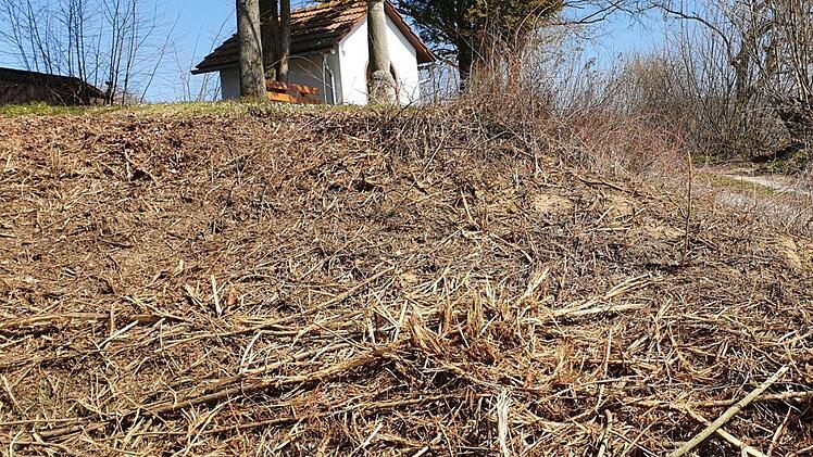 Bei der Kapelle Rüssenbach Foto: BN