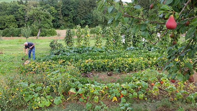 Jupp Schr&ouml;der in seinem Garten am Acker. Foto: Barbara Herbst
