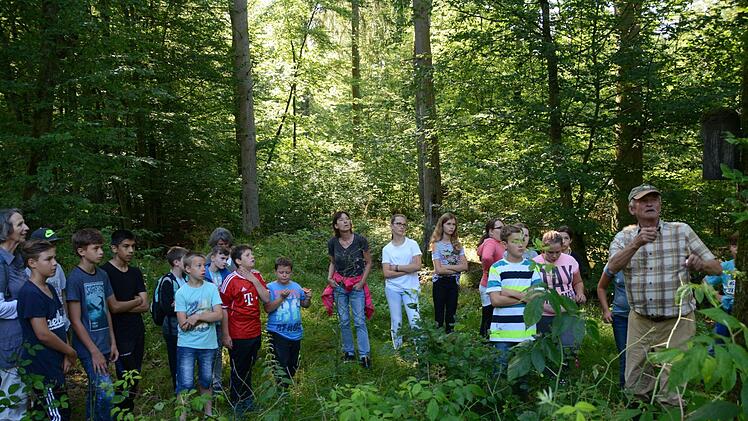 Auch im Wald nahe des Waldteiches finden sich interessante Tiere: Vögel und Fledermäuse, so findet sich in einem Meisenkasten eine kleine Familie von Fransenfledermäusen; das Totholz am Boden bietet auch für viele Amphibien einen Unterschlupf. Foto: Elisabeth Assmann