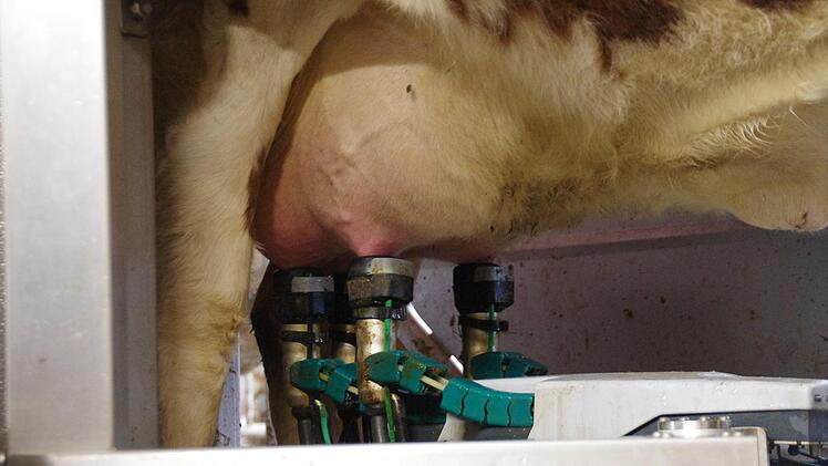 Der Melkroboter im Einsatz. Foto: Marco Meißner