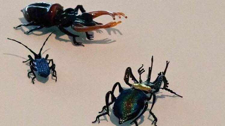 Gläserne Insekten von Falk Bauer.