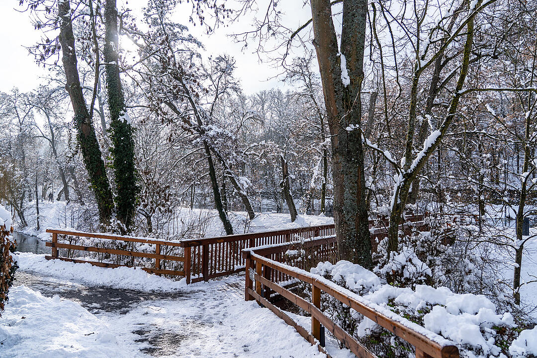 Winter in Bamberg