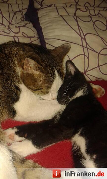 Foto: Aileen Schloth-pröll