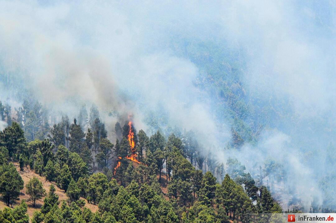 Waldbrand auf der Kanarischen Insel