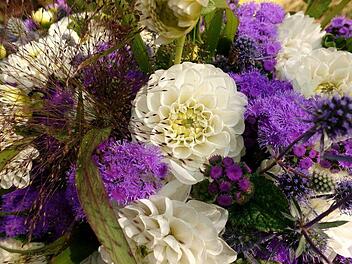 Besonders Sommerblumen wie Löwenmäulchen, Dahlien und Wicken sind zum Schneiden geeignet. Symbolfoto: pixabay.com