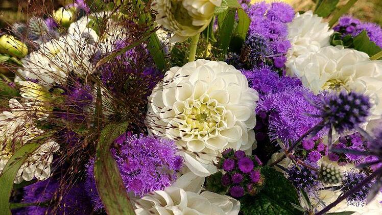 Besonders Sommerblumen wie Löwenmäulchen, Dahlien und Wicken sind zum Schneiden geeignet. Symbolfoto: pixabay.com