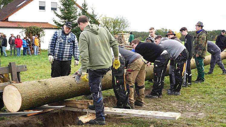 Stolze 31 Meter misst der Kerwabaum in Buch.Sänger