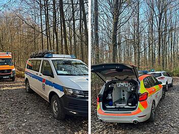 Zapfendorf: Mann von umstürzendem Baum getroffen - "schwer verletzt"
