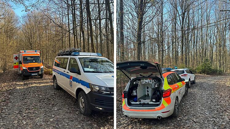 Zapfendorf: Mann von umstürzendem Baum getroffen - "schwer verletzt"