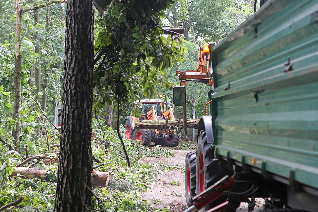 Aufraeumarbeiten in Bamberg nach schwerem Unwetter