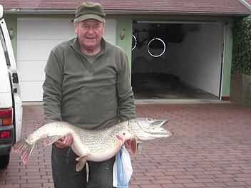Schwer zu heben hat Rudi Slama an seinem Biss. Foto: Gebhard Scheler