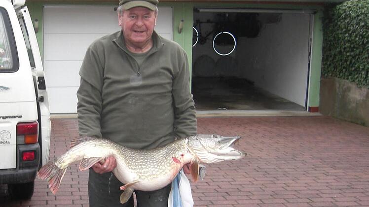 Schwer zu heben hat Rudi Slama an seinem Biss. Foto: Gebhard Scheler