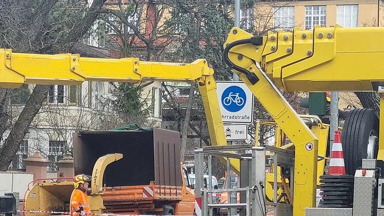 Nürnberg: Baum in Kita umgestürzt - Mutter empört - "hätte Kinder töten können"
