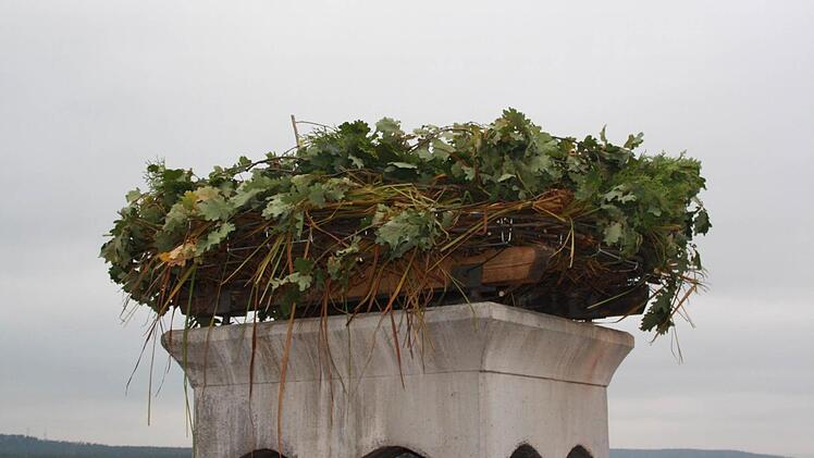 Das neue Nest wurde mit frischen Zweigen best&uuml;ckt. Foto: privat