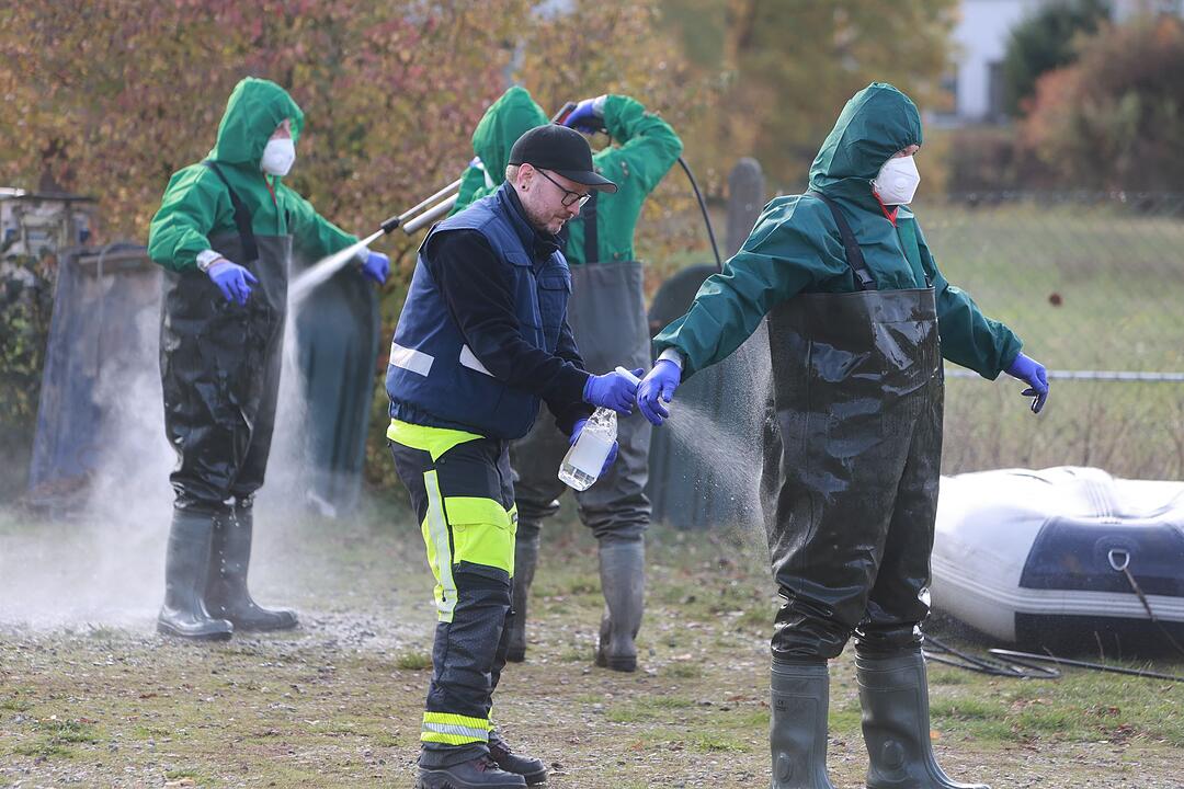 Vogelgrippe am Stausee Kelbra ausgebrochen