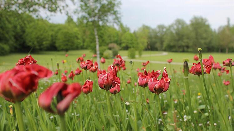 Kurpark
